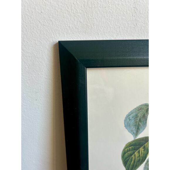 Vintage Cherry Botanical Print in Dark Green Frame | Cottagecore Prairiecore - Picture 4 of 5